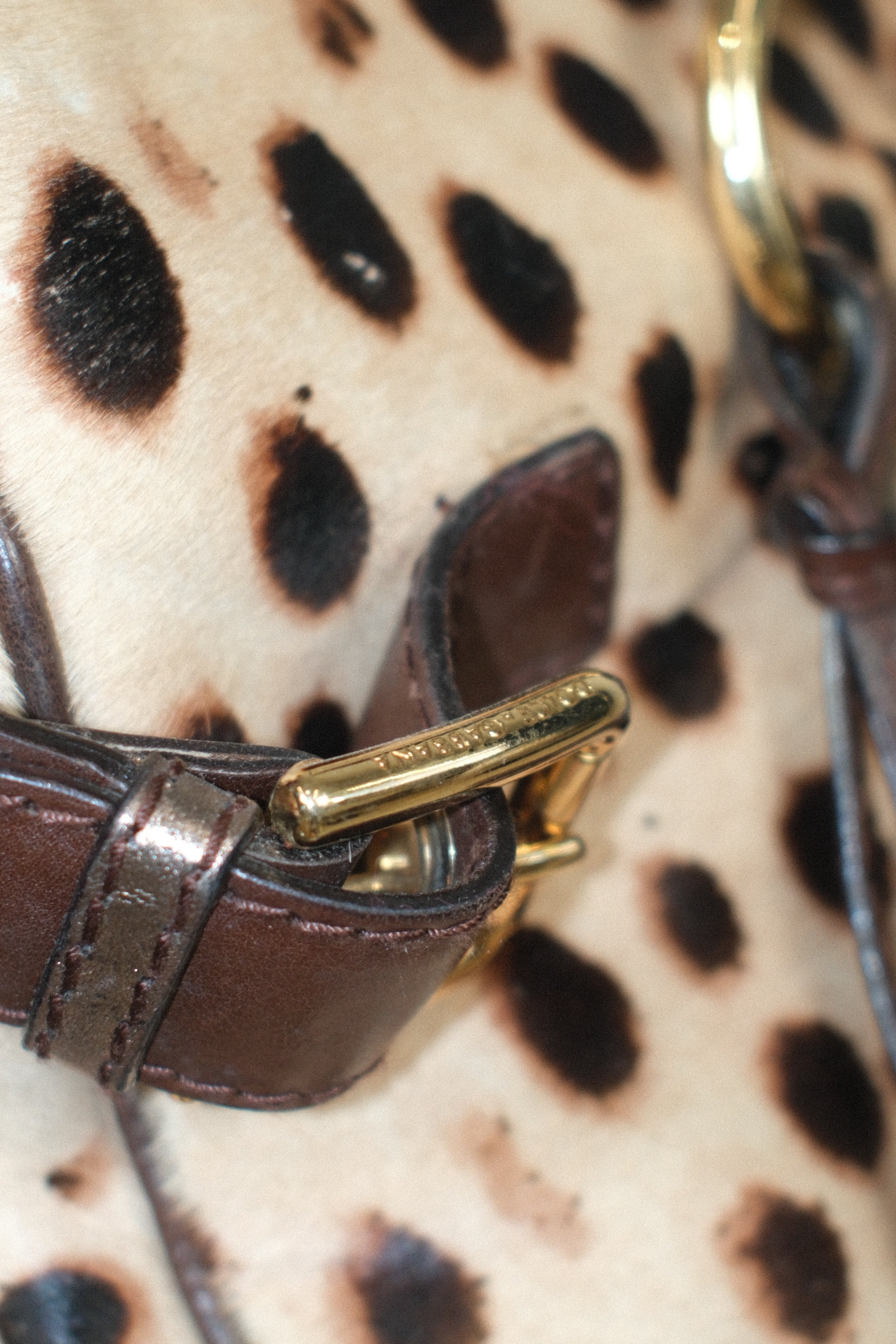 DOLCE & GABBANA XL LEOPARD PONY HAIR LEATHER BAG WITH GOLD HARDWARE