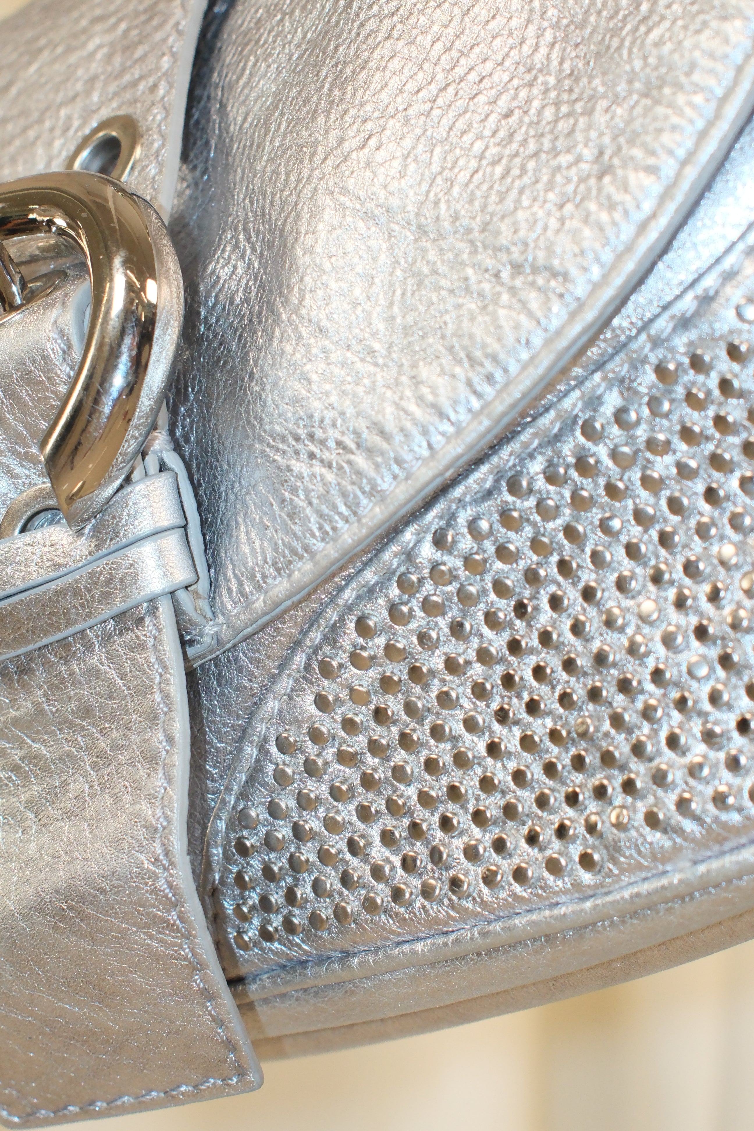 Francesco Biasia Silver Leather Bag